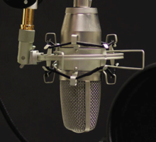 Microphone